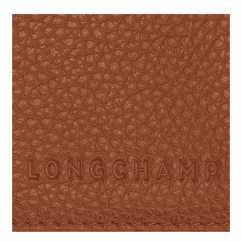 Longchamp Le FOULONNÉ Imetnik Potnega Lista Moški Caramel Slovenija | L3416021121-