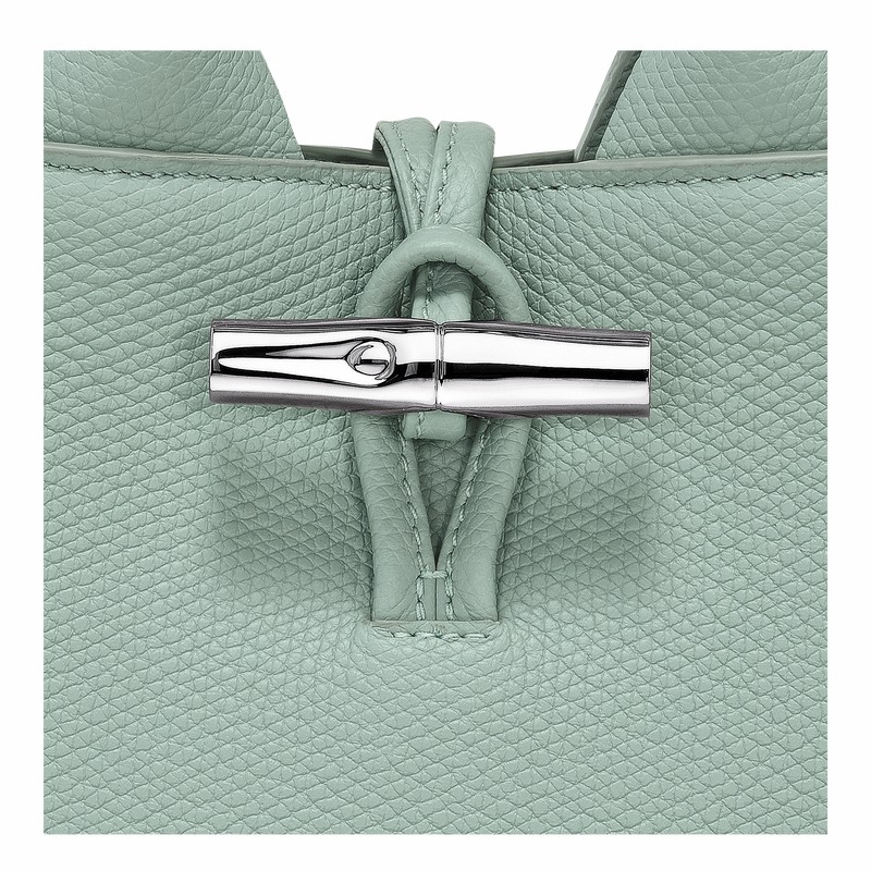 Longchamp Le Roseau XS Torbica Ženski Celadon Slovenija | 10278HFP282